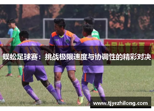 蜈蚣足球赛：挑战极限速度与协调性的精彩对决