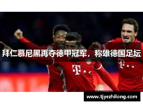 拜仁慕尼黑再夺德甲冠军，称雄德国足坛