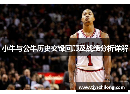 小牛与公牛历史交锋回顾及战绩分析详解
