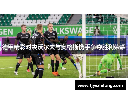 德甲精彩对决沃尔夫与奥格斯携手争夺胜利荣耀